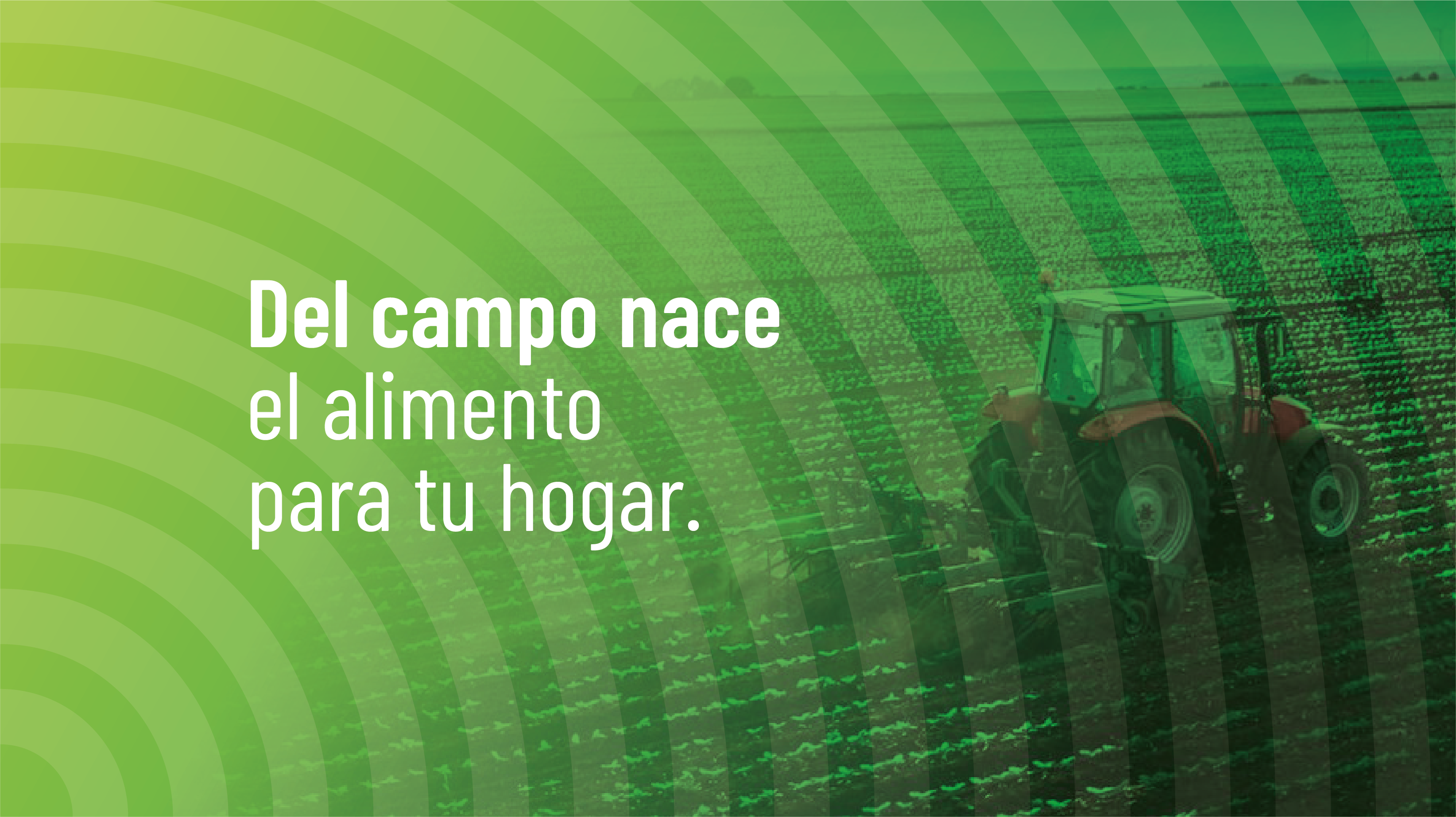 Campo Agrícola Don Armando